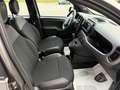 Fiat Panda 1.0 firefly hybrid Sport 70 CV Gris - thumbnail 8