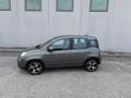Fiat Panda 1.0 firefly hybrid Sport 70 CV Gris - thumbnail 2
