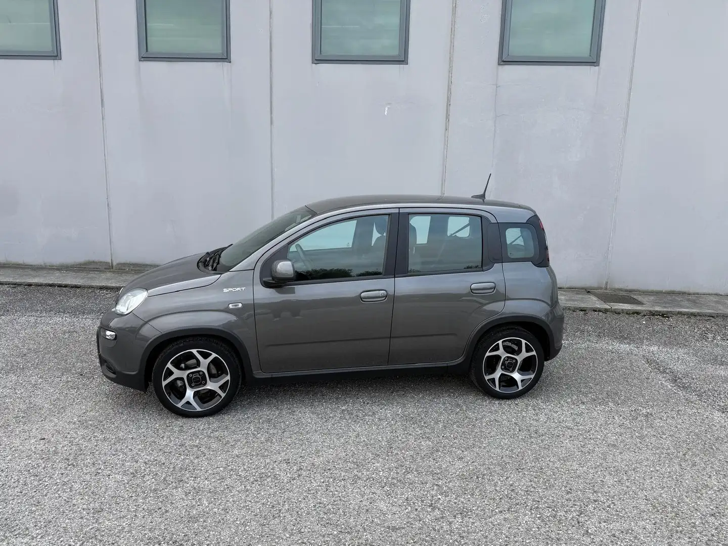 Fiat Panda 1.0 firefly hybrid Sport 70 CV Grau - 2
