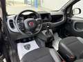 Fiat Panda 1.0 firefly hybrid Sport 70 CV Gris - thumbnail 11