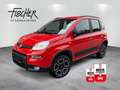Fiat Panda 4x4 Wild AHK gepfl. Scheckheft  Wild 4x4 Rouge - thumbnail 1