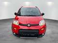 Fiat Panda 4x4 Wild AHK gepfl. Scheckheft  Wild 4x4 Rouge - thumbnail 7