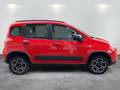 Fiat Panda 4x4 Wild AHK gepfl. Scheckheft  Wild 4x4 Rouge - thumbnail 8