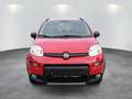 Fiat Panda 4x4 Wild AHK gepfl. Scheckheft  Wild 4x4 Rouge - thumbnail 9