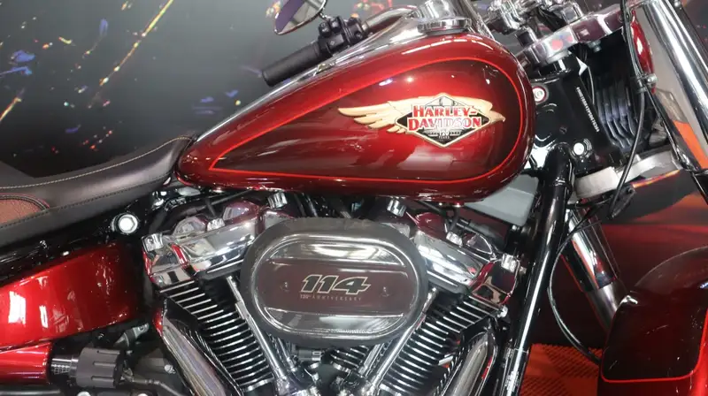 Harley-Davidson Fat Boy - foto 6