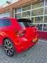 Volkswagen Polo GTI 2.0 TSI CLIMA VIRTUAL DSG PANO BRESCIA Rojo - thumbnail 14