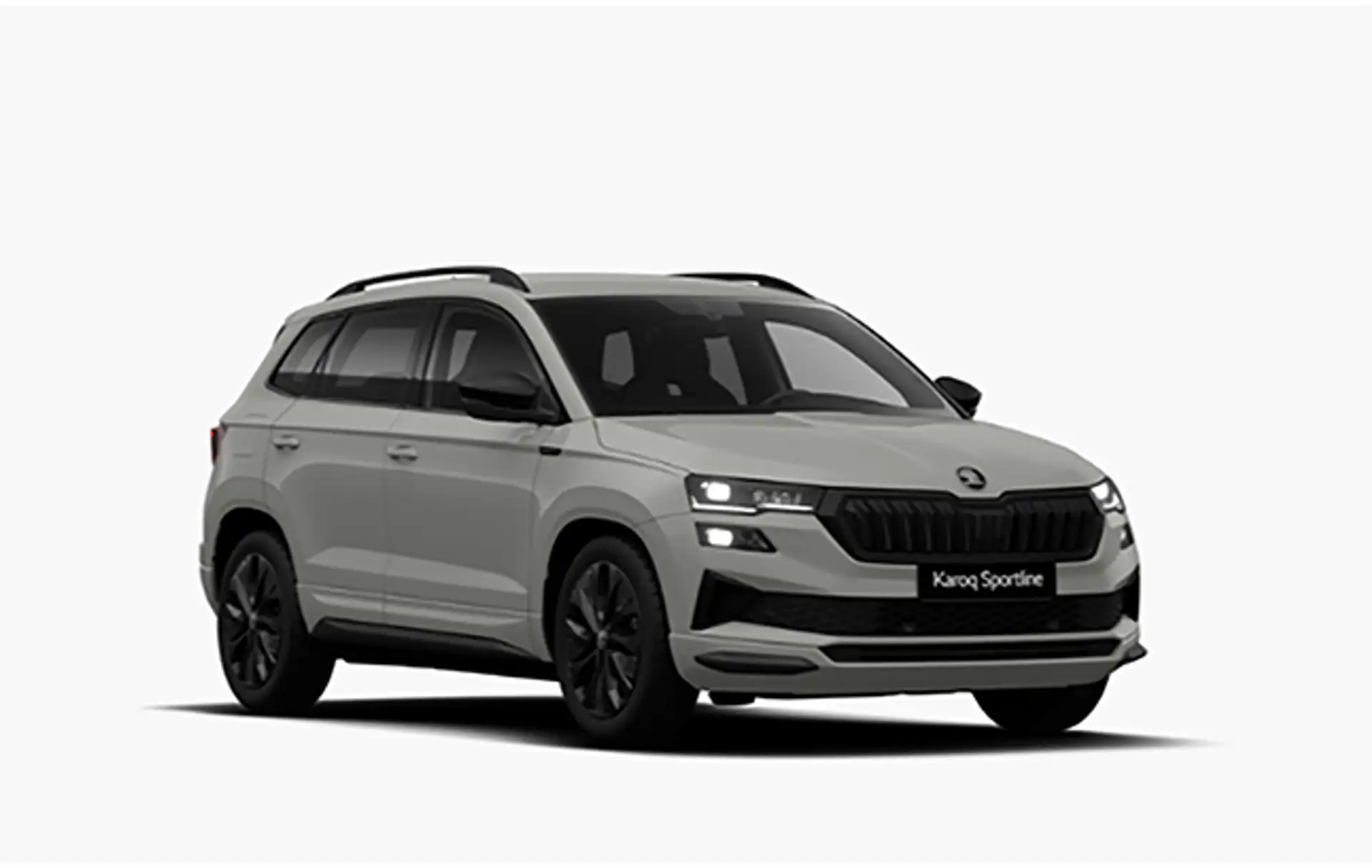 스코다 Karoq 1.5 TSI 2026 회색 사진 1