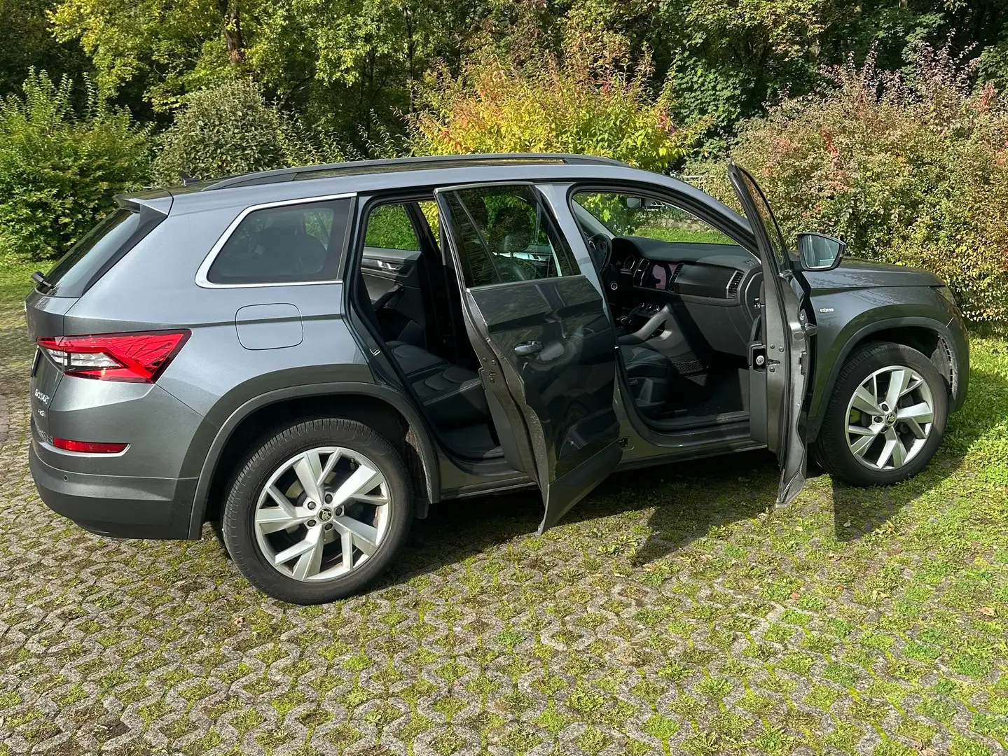 Skoda Kodiaq Kodiaq 140KW TDI 4x4 DSG Soleil Grau - 2