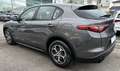 Alfa Romeo Stelvio 2.2 t Super Business rwd 160cv At8 “PREZZO REALE Gris - thumbnail 4