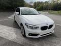 BMW 116 116d 5p Attiva 116cv  dpf euro 6B garanzia 12 Bianco - thumbnail 6