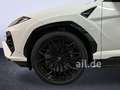 Lamborghini Urus SE Panorama Weiß - thumbnail 9