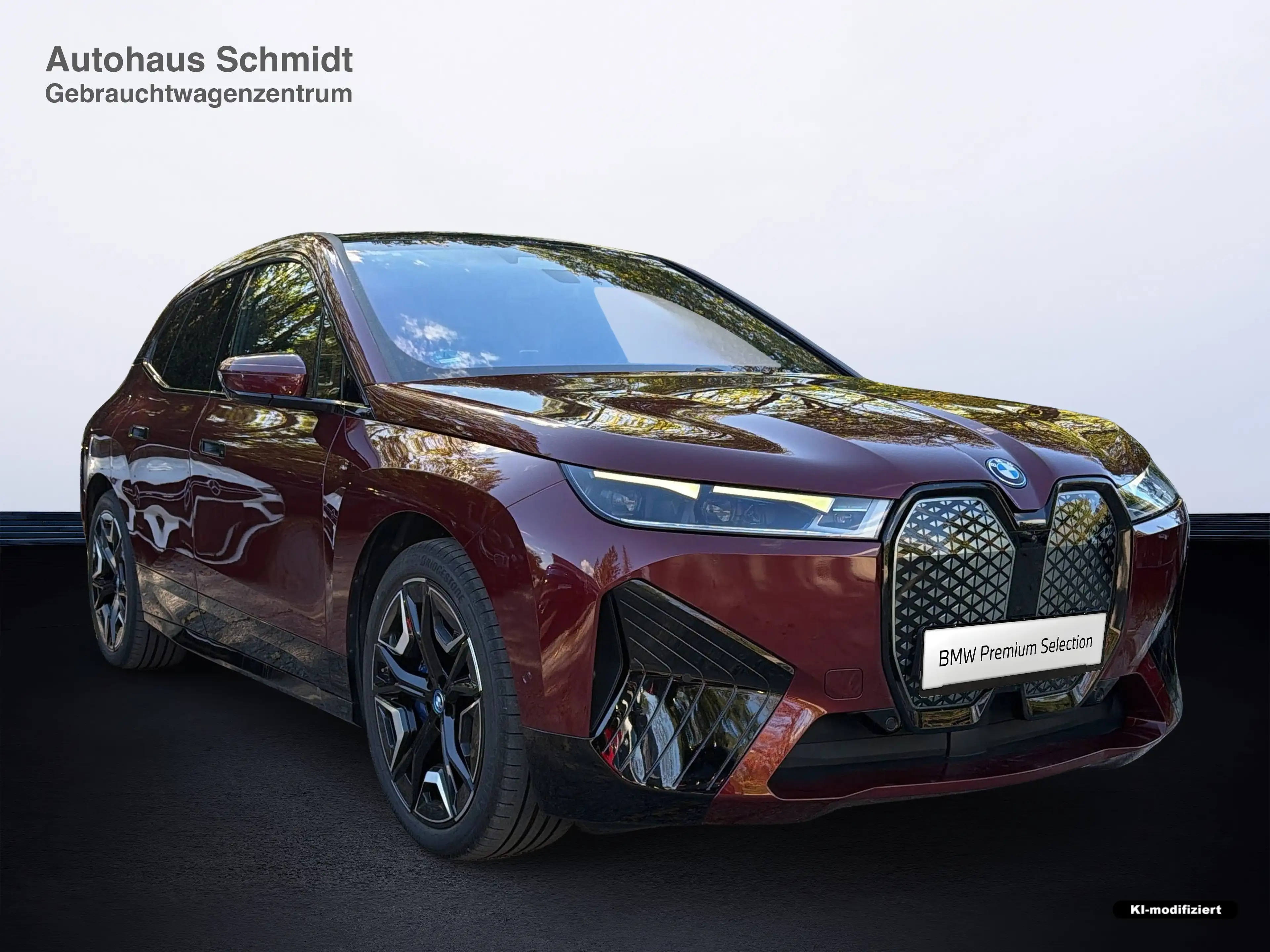 BMW iX xDrive40 Sportpaket HK HiFi DAB Pano.Dach — photo 6