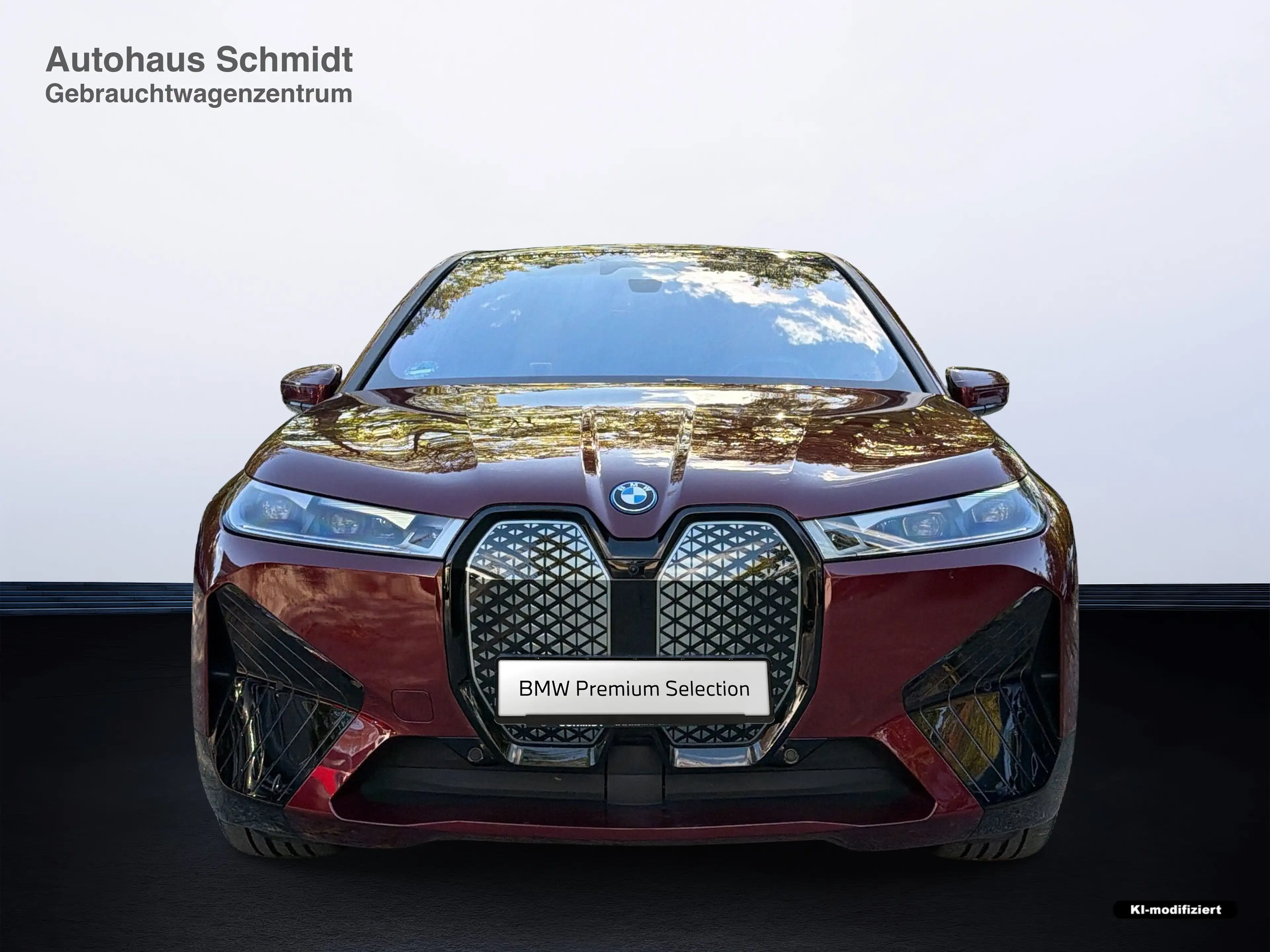 BMW iX xDrive40 Sportpaket HK HiFi DAB Pano.Dach — photo 7