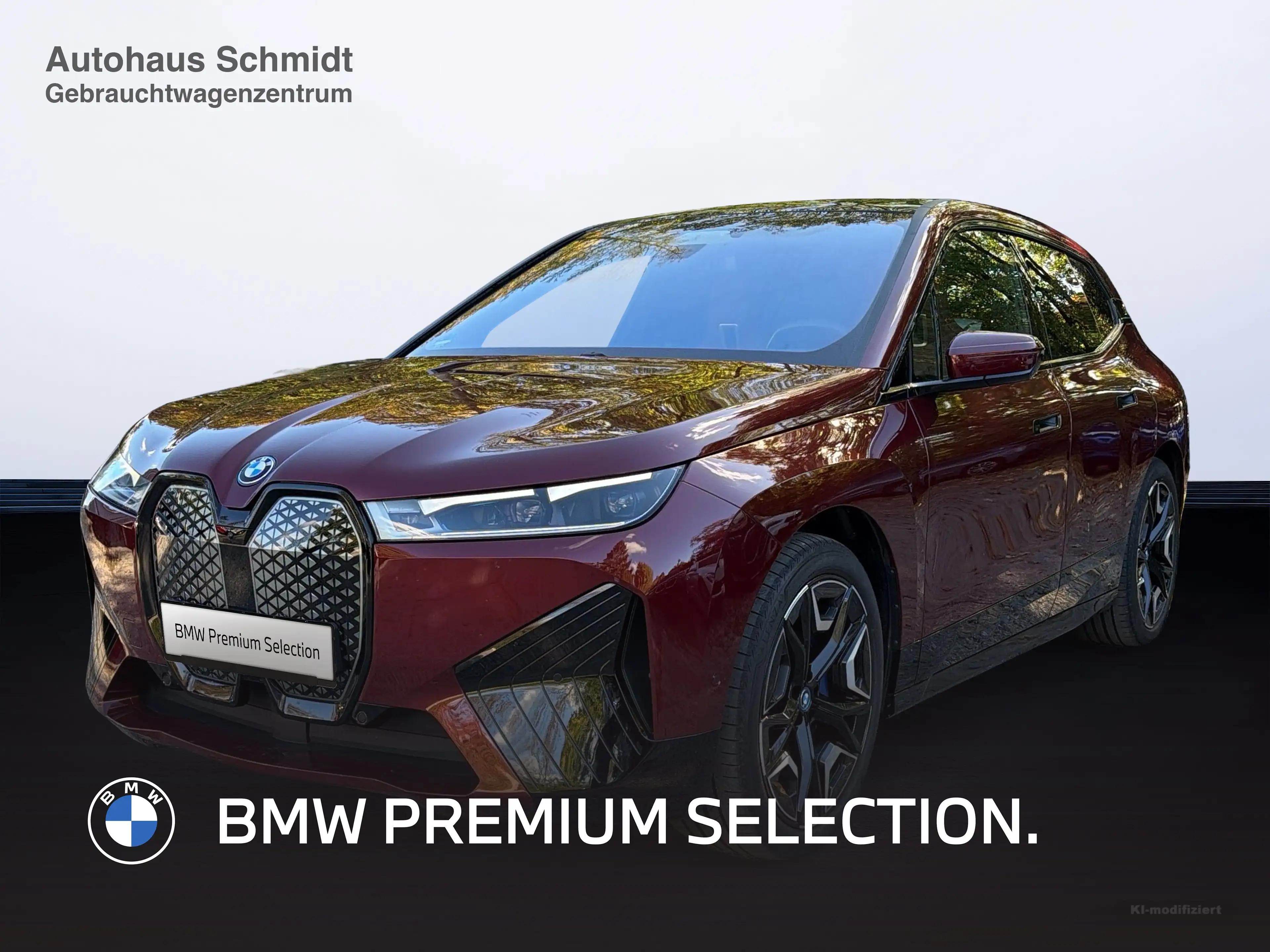 BMW iX xDrive40 Sportpaket HK HiFi DAB Pano.Dach
