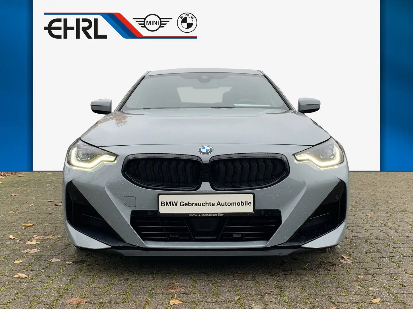 BMW 220 i M Sportpaket Aut/AHK/Memory/Harman/Lenkradhzg Grau - 2