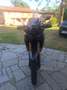 Honda CRF 1000 DTC Nero - thumbnail 1