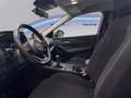 Nissan Qashqai MHEV 140 CV Business Grigio - thumbnail 8