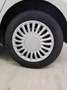 Volkswagen Polo 1.4 TDI 5p. Comfortline Bianco - thumbnail 6