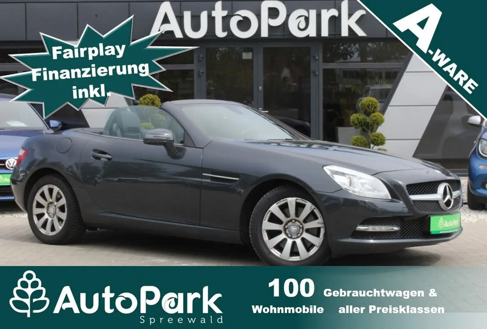 Mercedes-Benz SLK 250 SLK Roadster SLK 250 CDI BlueEfficiency Šedá - 1