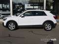 Audi Q2 35 TDI S tronic quattro Matrix/NAVI/Sthz/AHK/RFK Weiß - thumbnail 3