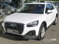Audi Q2 35 TDI S tronic quattro Matrix/NAVI/Sthz/AHK/RFK Weiß - thumbnail 2