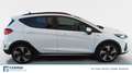 Ford Fiesta Active 5 porte 1.0 EcoBoost Hybrid Bianco - thumbnail 4