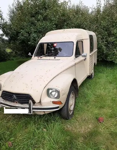 Citroen Acadiane