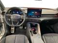 CUPRA Terramar VZ 2.0 TSI 265PS/195kW 4x4 DSG7 2025 | *+20" Al... Weiß - thumbnail 11