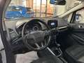 Ford EcoSport 1.0 Ecoboost Business 100cv - thumbnail 9