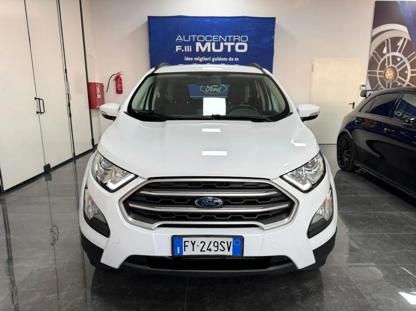 Ford EcoSport 1.0 Ecoboost Business 100cv - 2