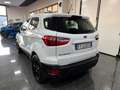 Ford EcoSport 1.0 Ecoboost Business 100cv - thumbnail 6