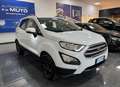Ford EcoSport 1.0 Ecoboost Business 100cv - thumbnail 3