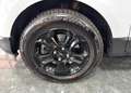 Ford EcoSport 1.0 Ecoboost Business 100cv - thumbnail 8