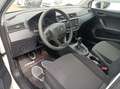 SEAT Arona Arona 1.0 tgi Black Edition 90cv Blanc - thumbnail 13