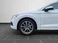Audi Q5 TFSI e 55 S-TRONIC AHK KAMERA HEAD-UP Weiß - thumbnail 8