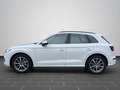 Audi Q5 TFSI e 55 S-TRONIC AHK KAMERA HEAD-UP Weiß - thumbnail 7