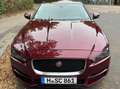 Jaguar XE XE 20d Pure Rot - thumbnail 1