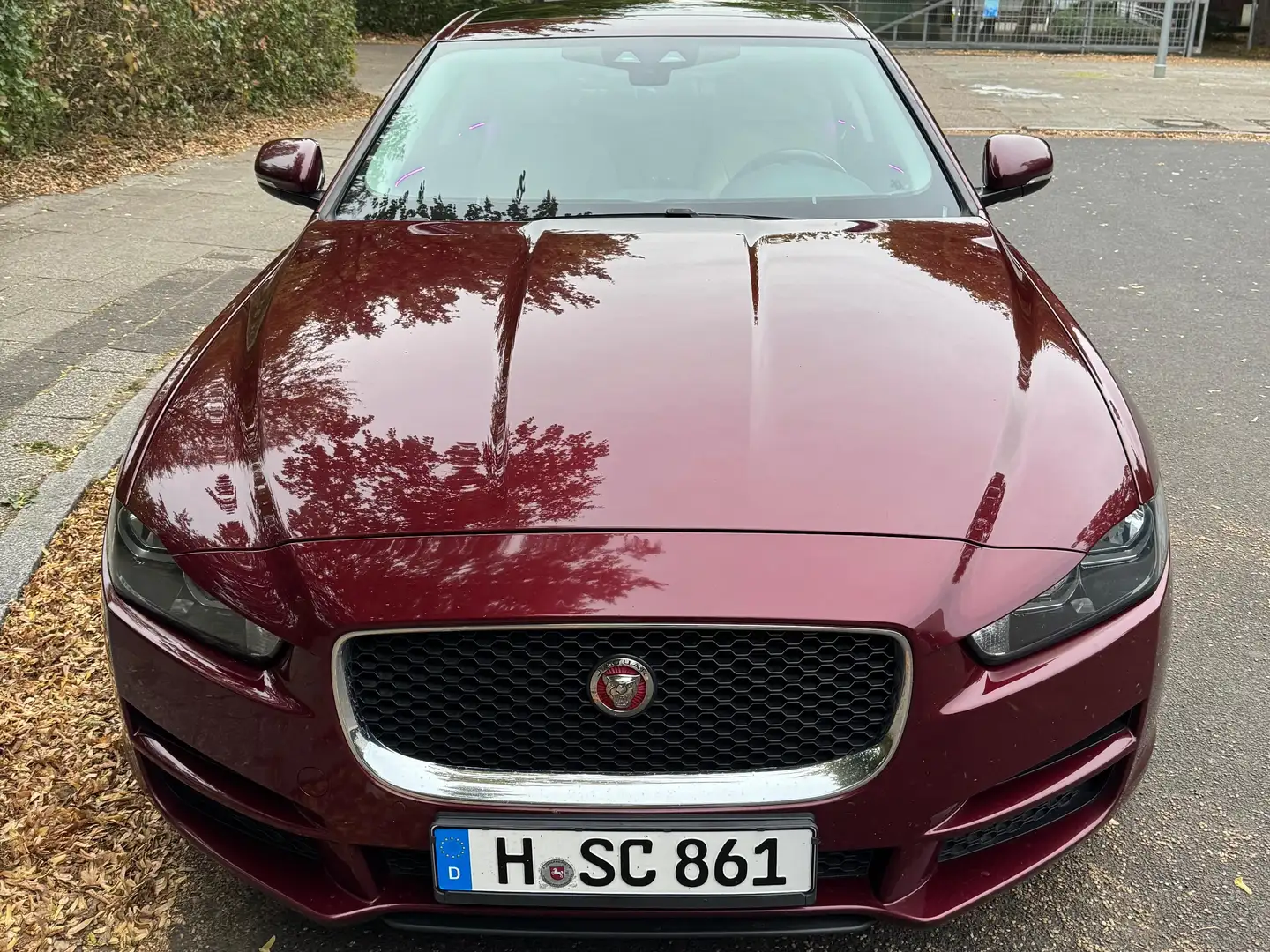 Jaguar XE XE 20d Pure Rot - 1