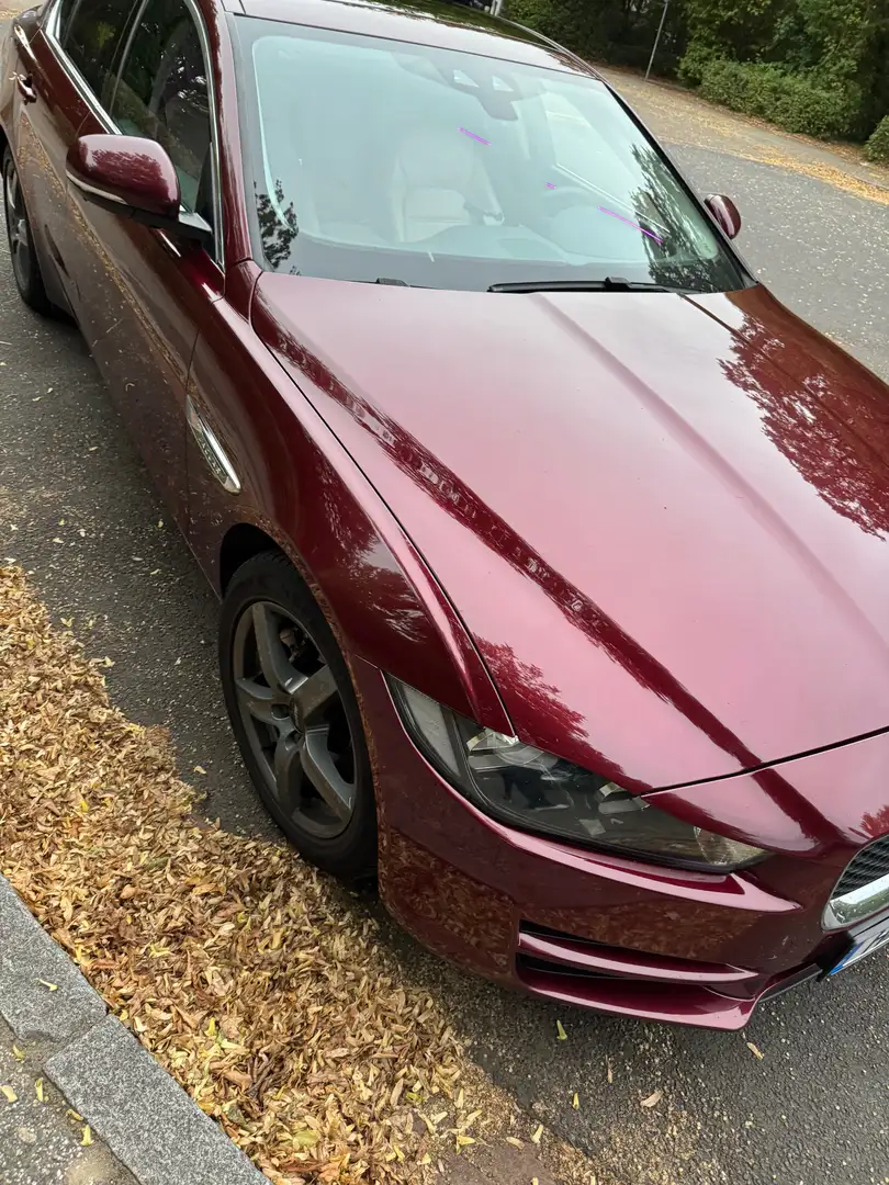 Jaguar XE XE 20d Pure Rot - 2