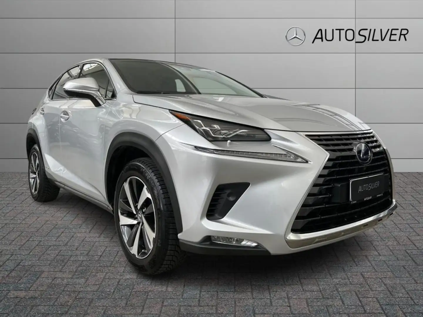 Lexus NX 300 Hybrid 4WD Luxury Argento - 1