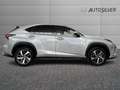 Lexus NX 300 Hybrid 4WD Luxury Argento - thumbnail 5