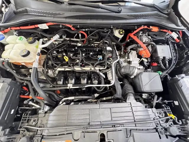 Ford Kuga view 12