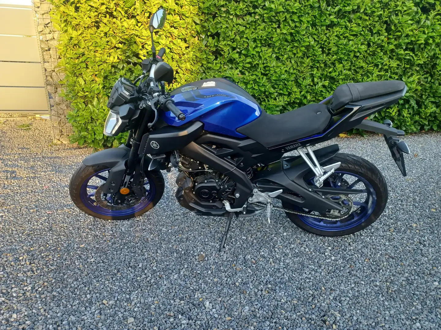 Yamaha MT-125 Bleu - 1