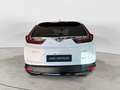 Honda CR-V 2.0 Hybrid 184 CV AWD Automatica Sport Line Navi Weiß - thumbnail 4