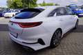 Kia ProCeed / pro_cee'd ProCeed 1.6 T-GDI GT LED Navi ACC PDC DAB Kamera Wit - thumbnail 6