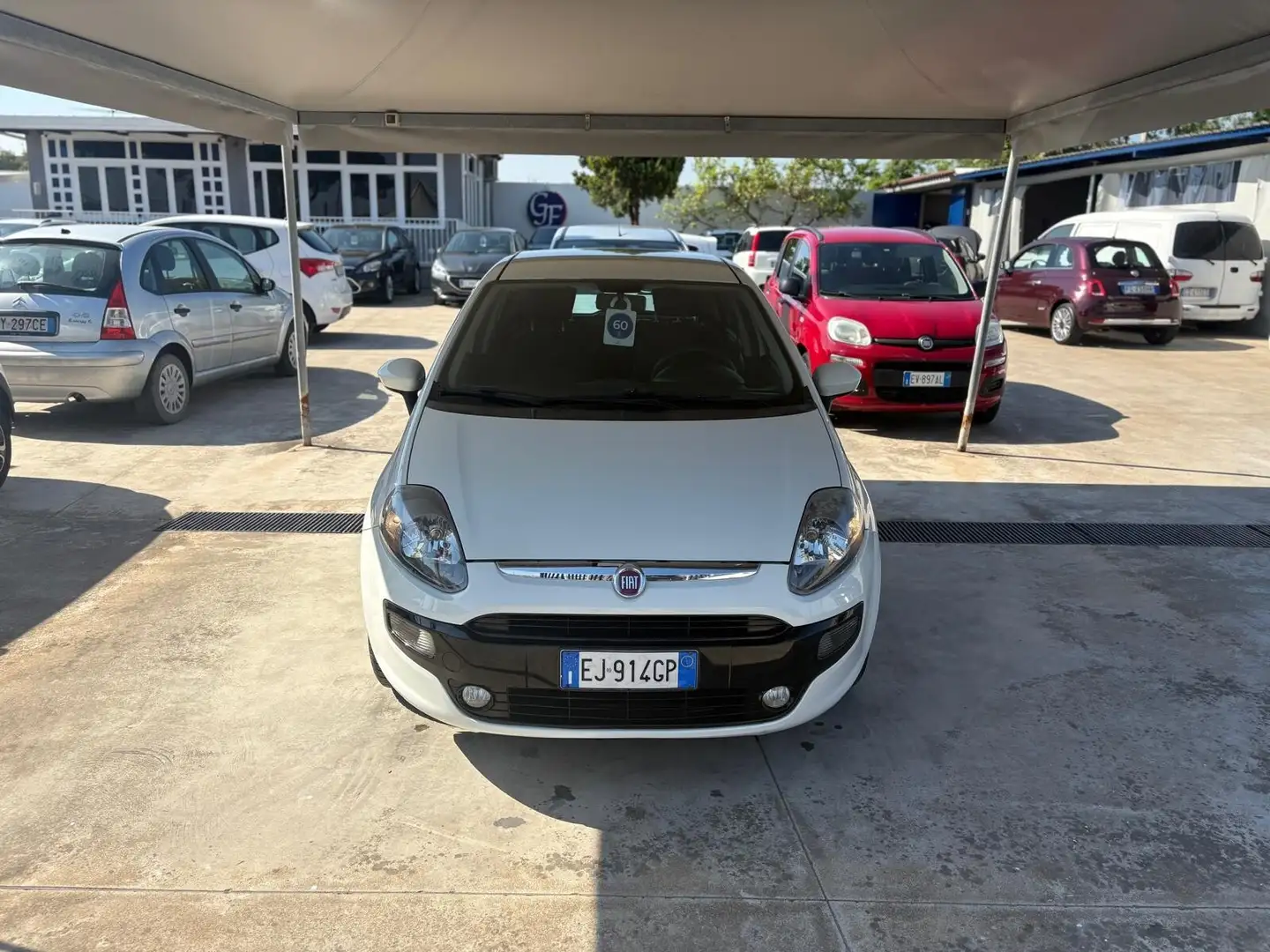 Fiat Punto Evo Punto Evo 1.3 Mjt 75 CV DPF 5 porte S&S Dynamic Blanco - 1