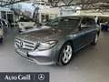Mercedes-Benz E 220 d 4MATIC T-Modell +LED+Avantgarde+Navi+AUT Grau - thumbnail 1