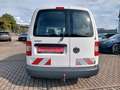 Volkswagen Caddy Kasten Kombi 1.9 TDi Weiß - thumbnail 6
