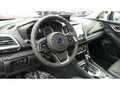 Subaru Forester EDITION BLACK Platinum 2.0ie Mild-Hybrid EU6d  NAV Černá - thumbnail 14