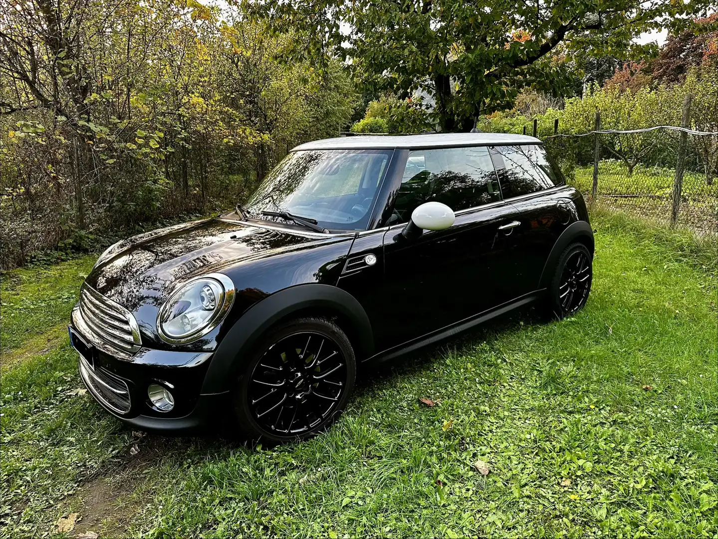 MINI Cooper - 1